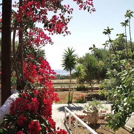 Scarpantos Lägenhet Amoopi