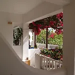 Scarpantos Амупи