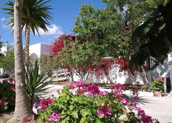 Scarpantos أموبي