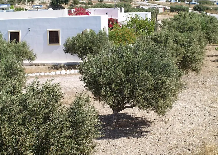 Scarpantos أموبي